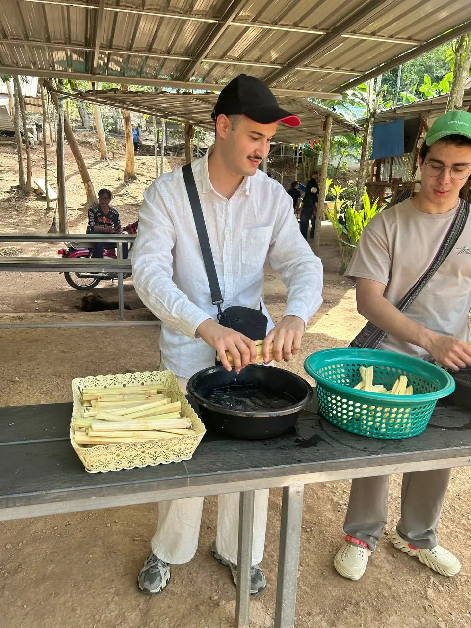 Amir washing sugar cane for the elephants