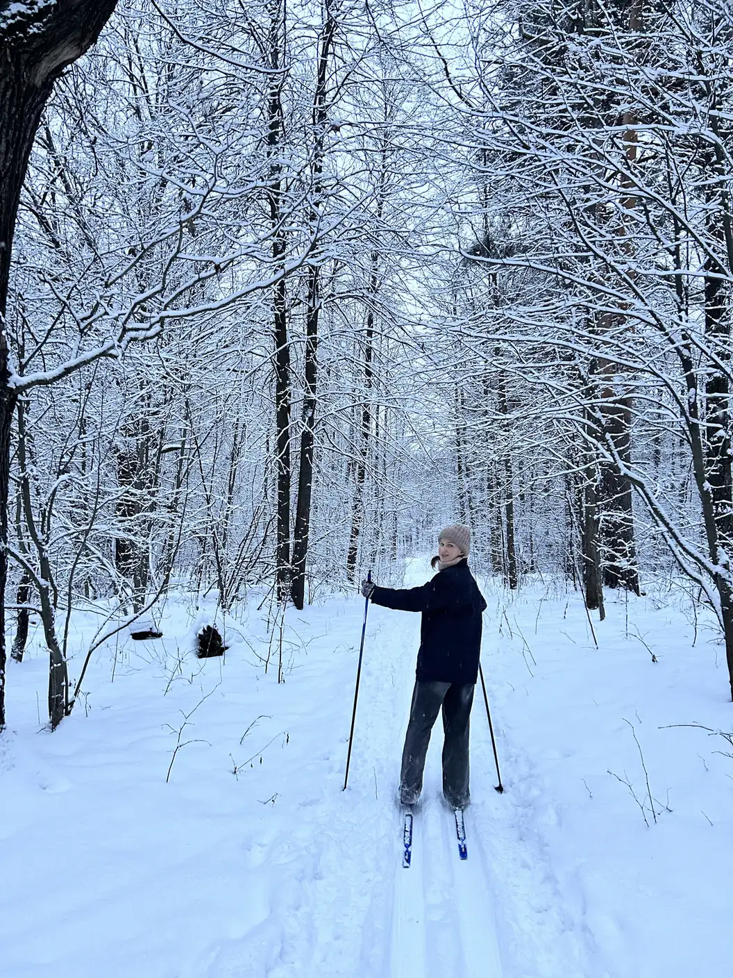 Kate cross-country skiing in a snowy forest